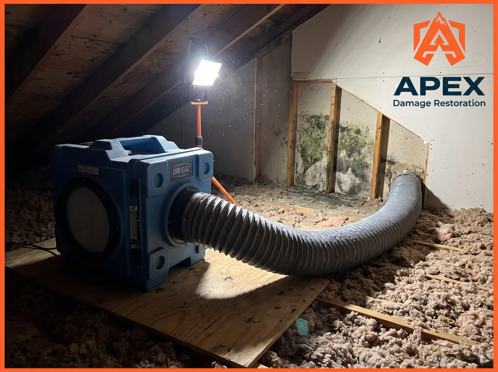 Attic mold remediation equipment