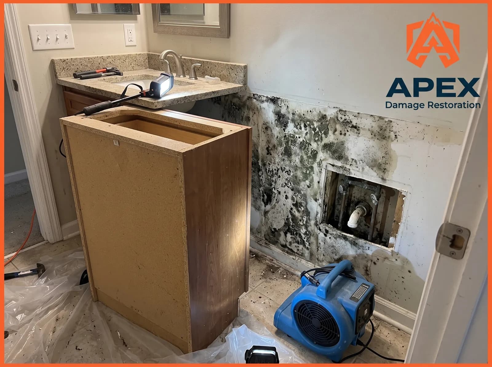 Bathroom wall mold behind cabinet