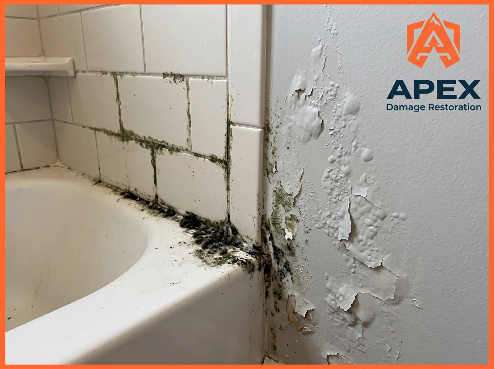 Bathtub tile mold growth
