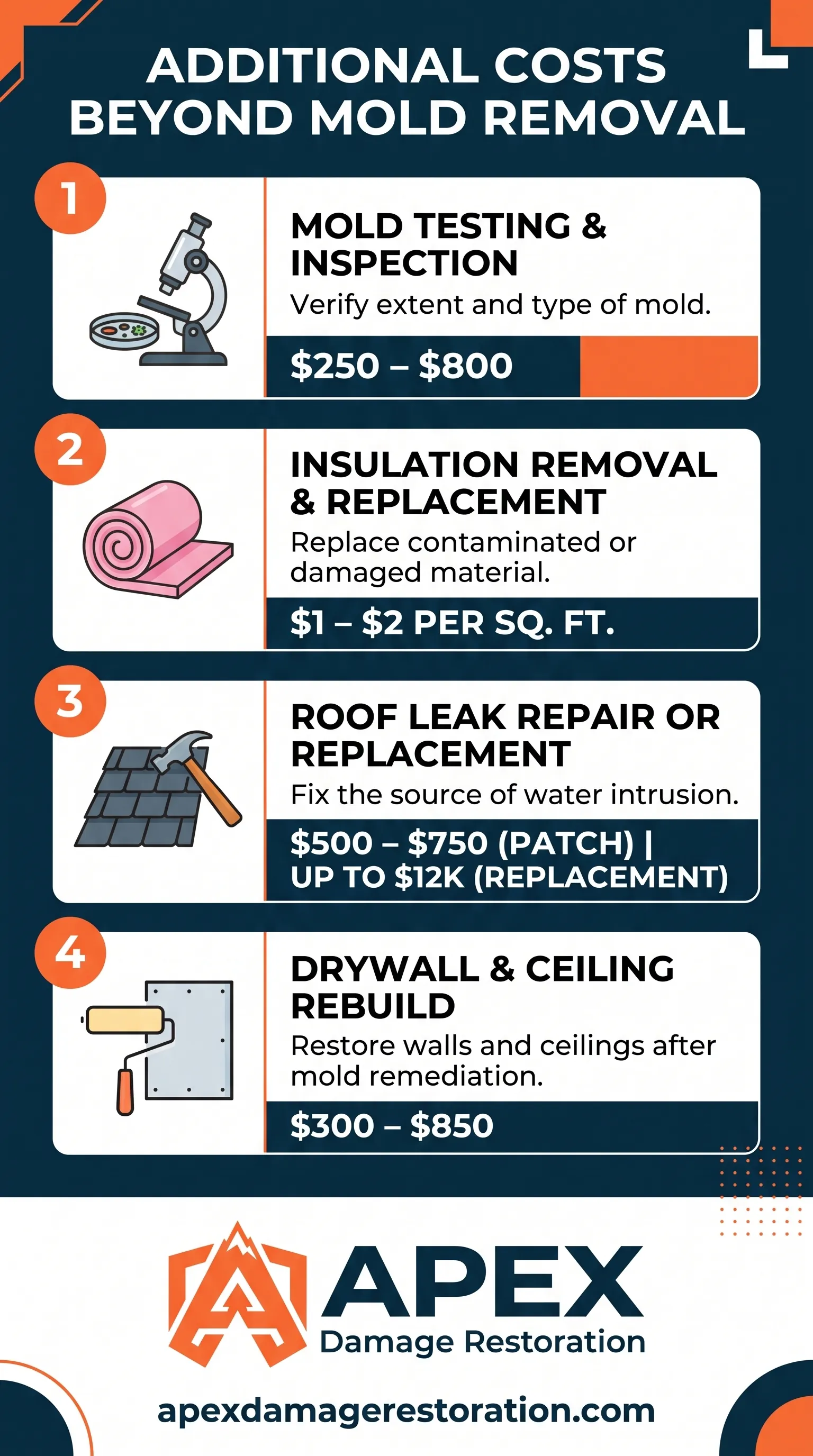 Additional mold removal costs infographic