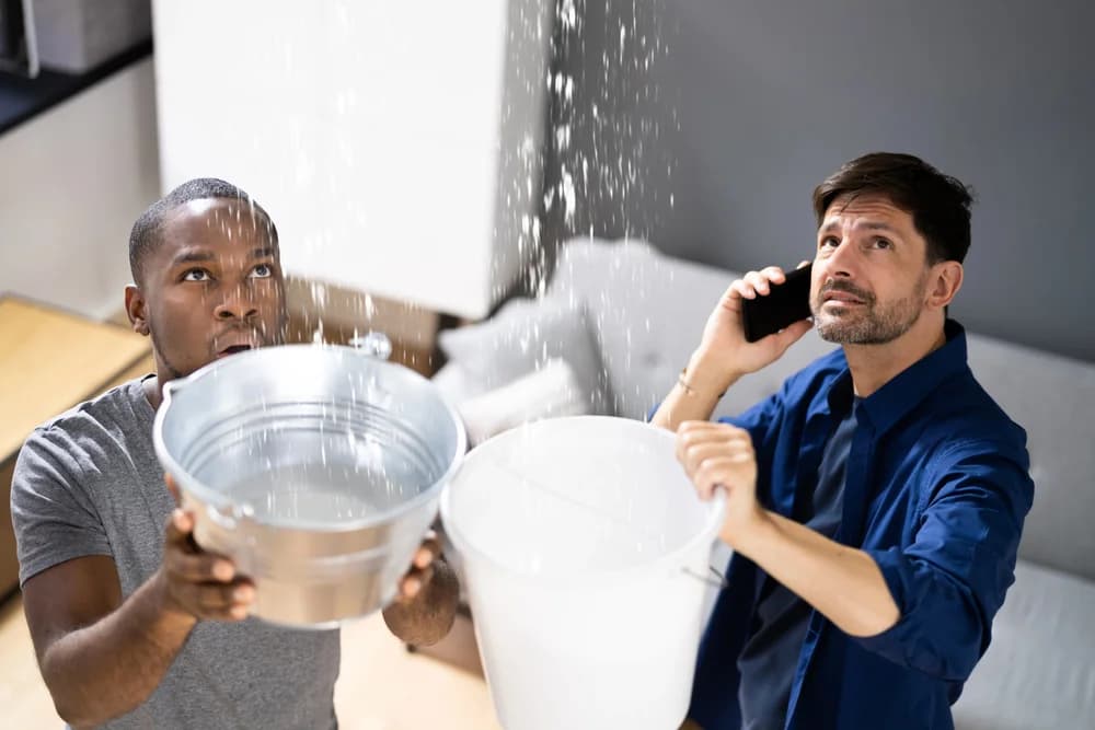 Couple Catching Ceiling Water Leak