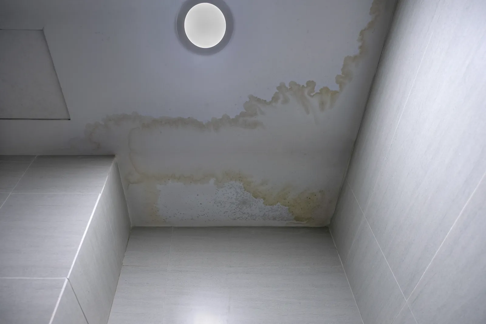 Roof Leak Ceiling Stain