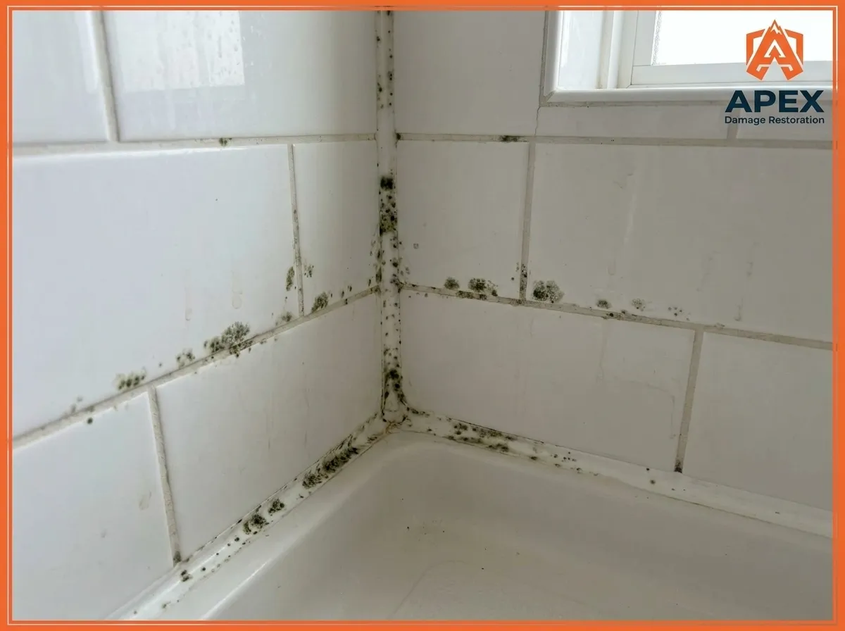 green mold growth on bathroom tiles