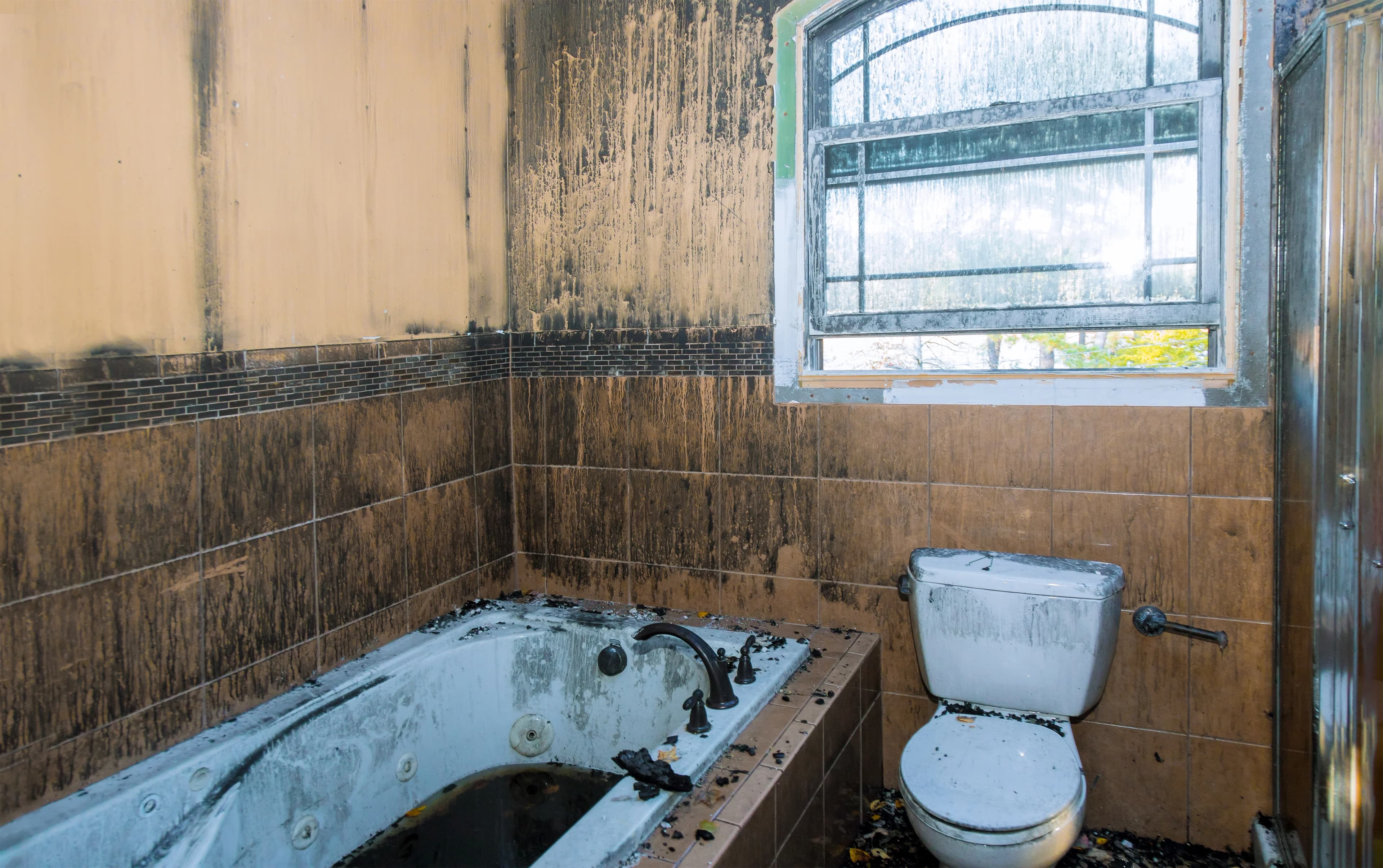 Severe Mold Damaged Bathroom Walls