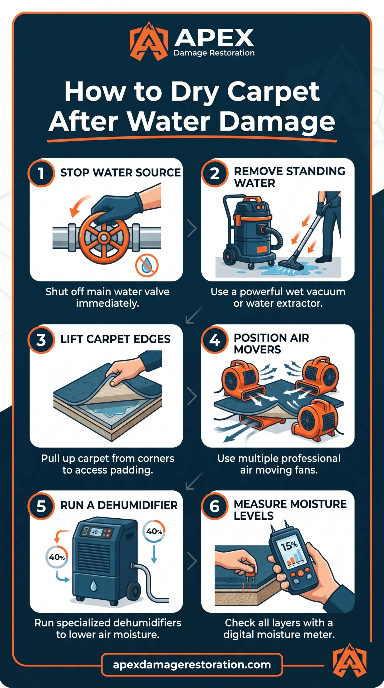 Carpet After Water Damage Infographic