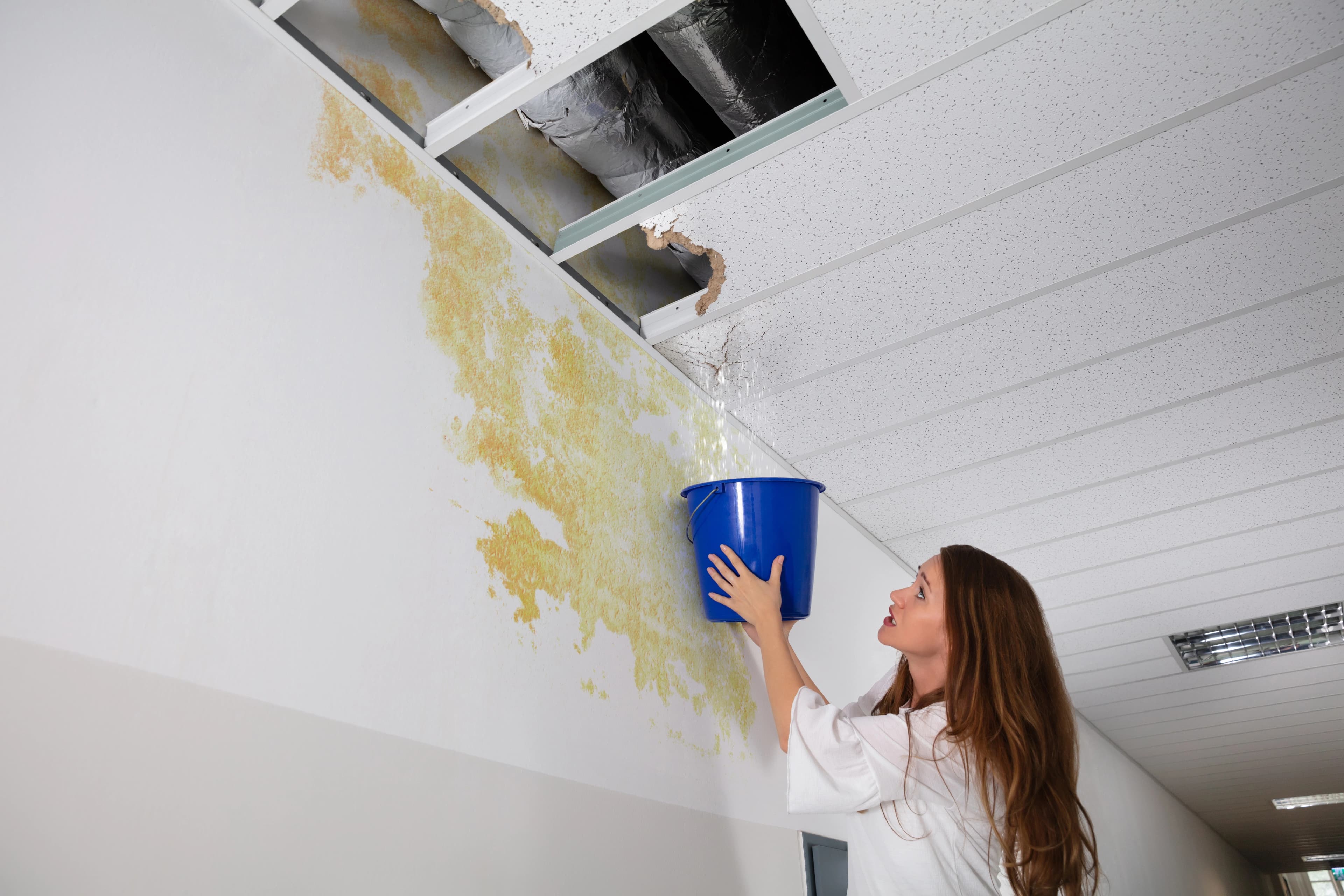 Ceiling Water Leak Bucket Catch
