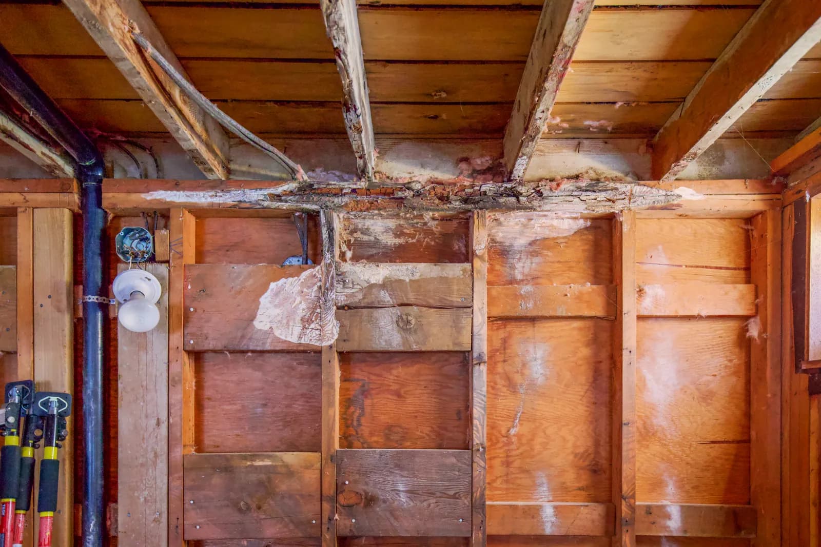 Water Damaged Crawl Space Wood Rot