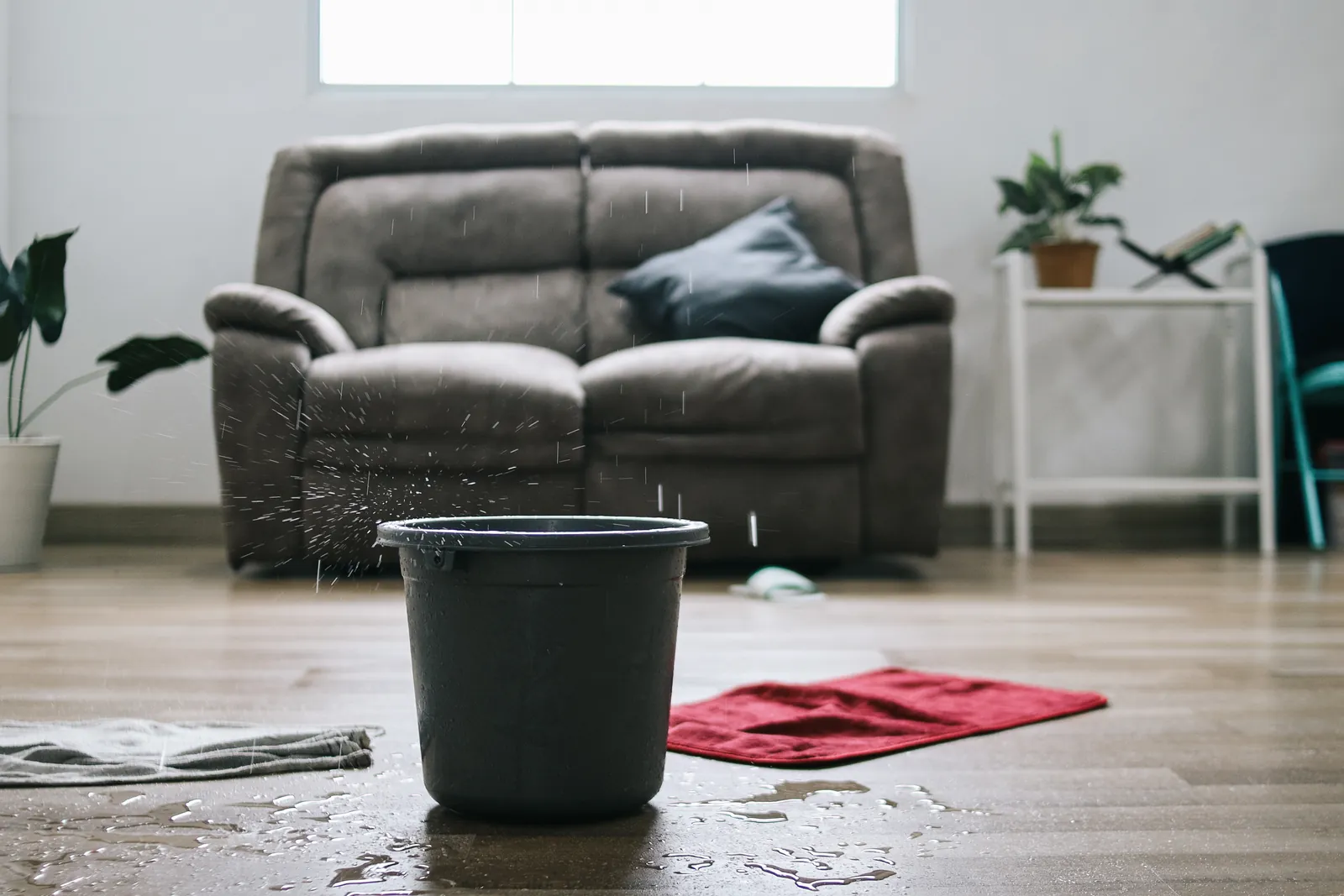 Ceiling Leak Dripping Into Bucket