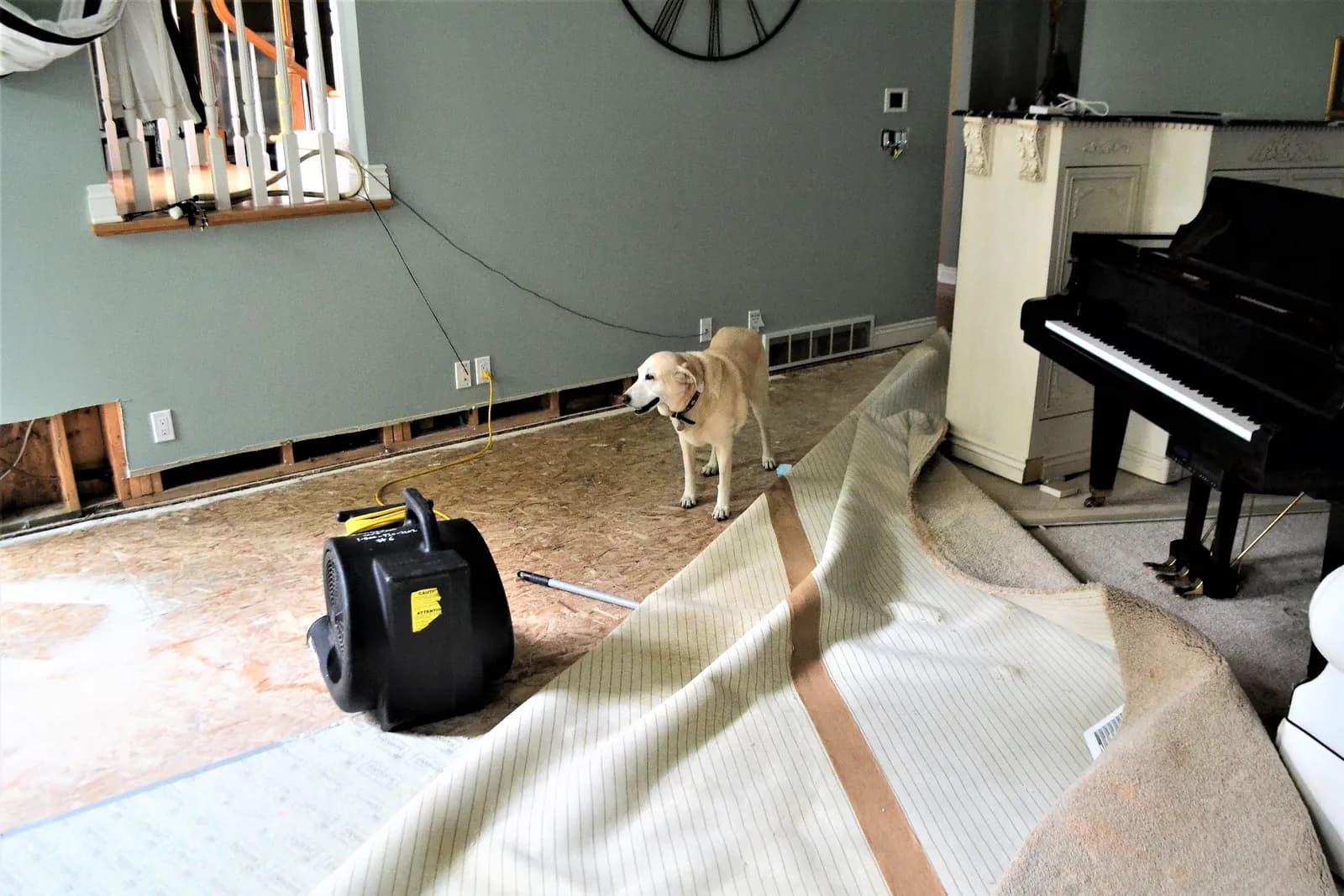 Water Damage Restoration Drying Equipment