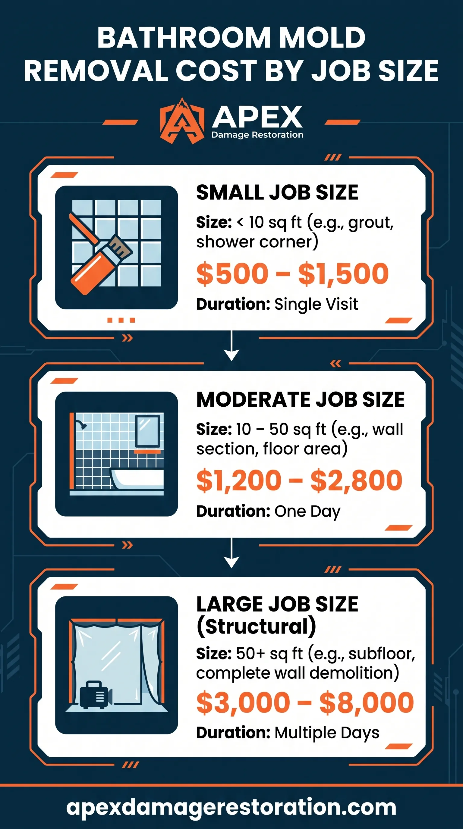 Bathroom mold removal cost by job size infographic