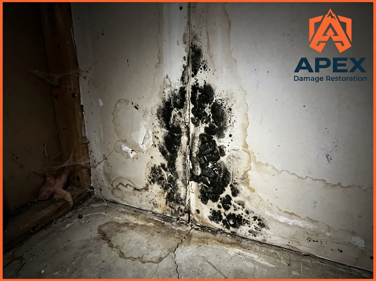 Black mold growth and water damage on a wall