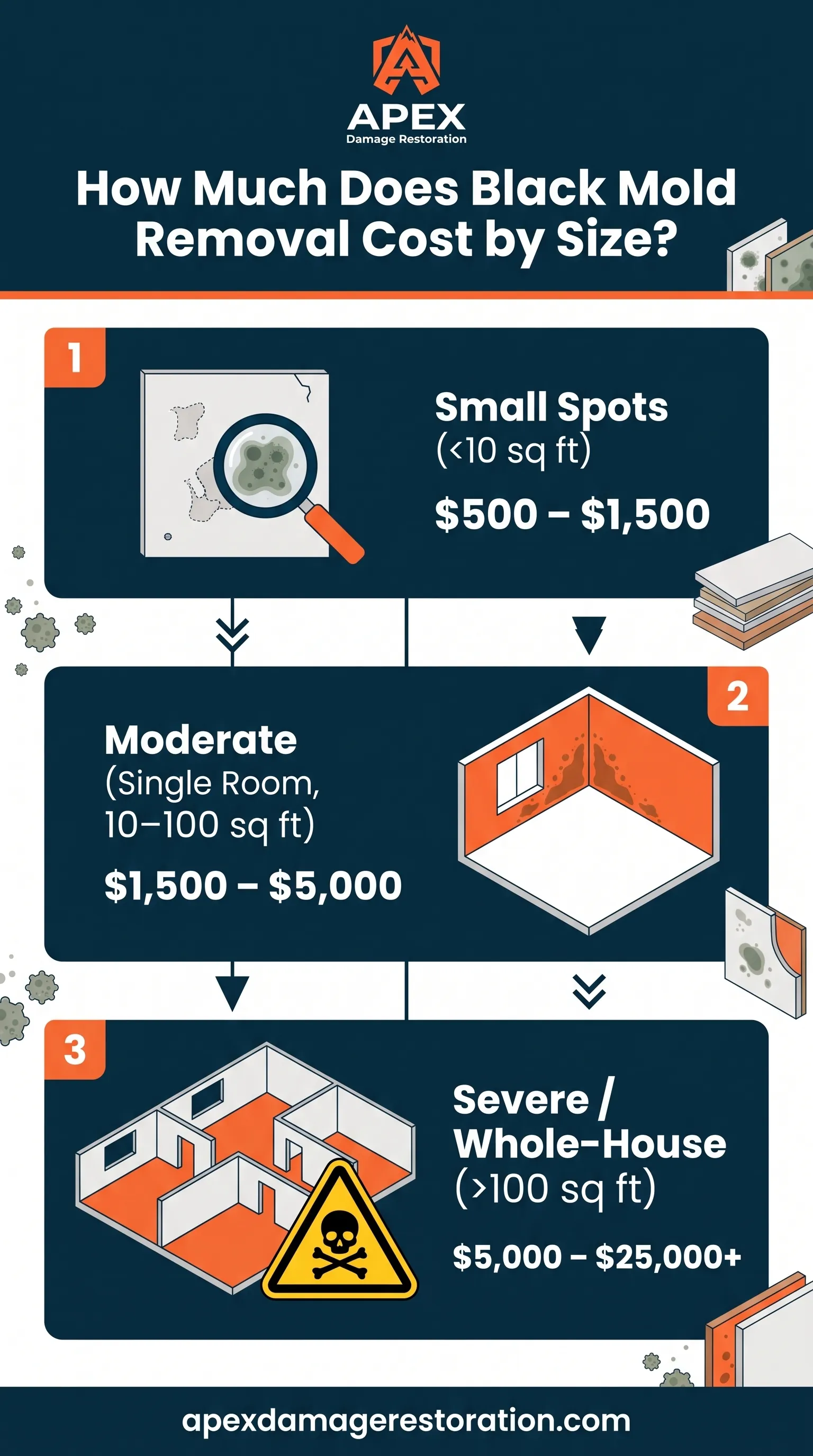 Black mold removal cost by affected area size