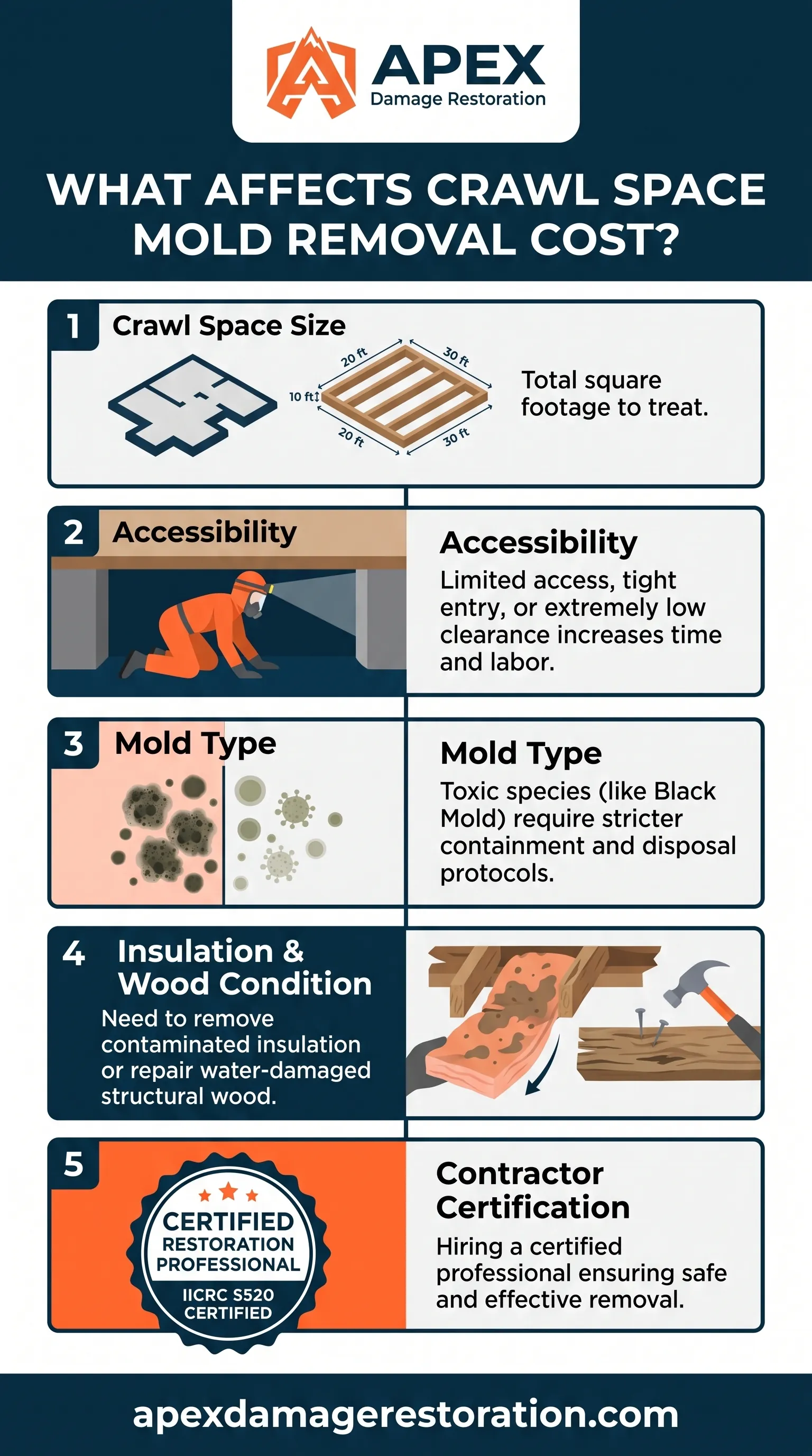 Crawl Space Mold Removal Cost Infographic