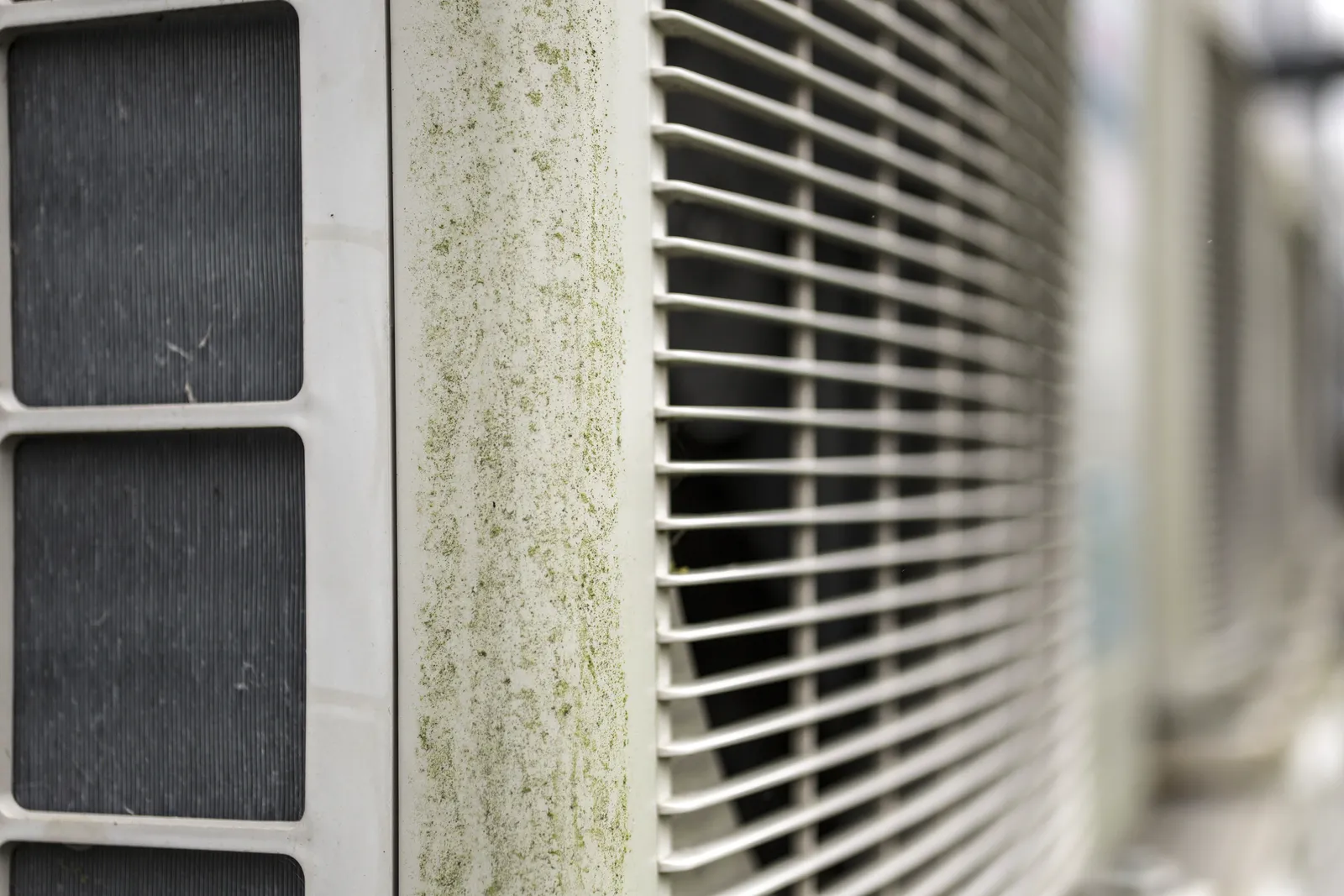 AC unit exterior with green mold growth