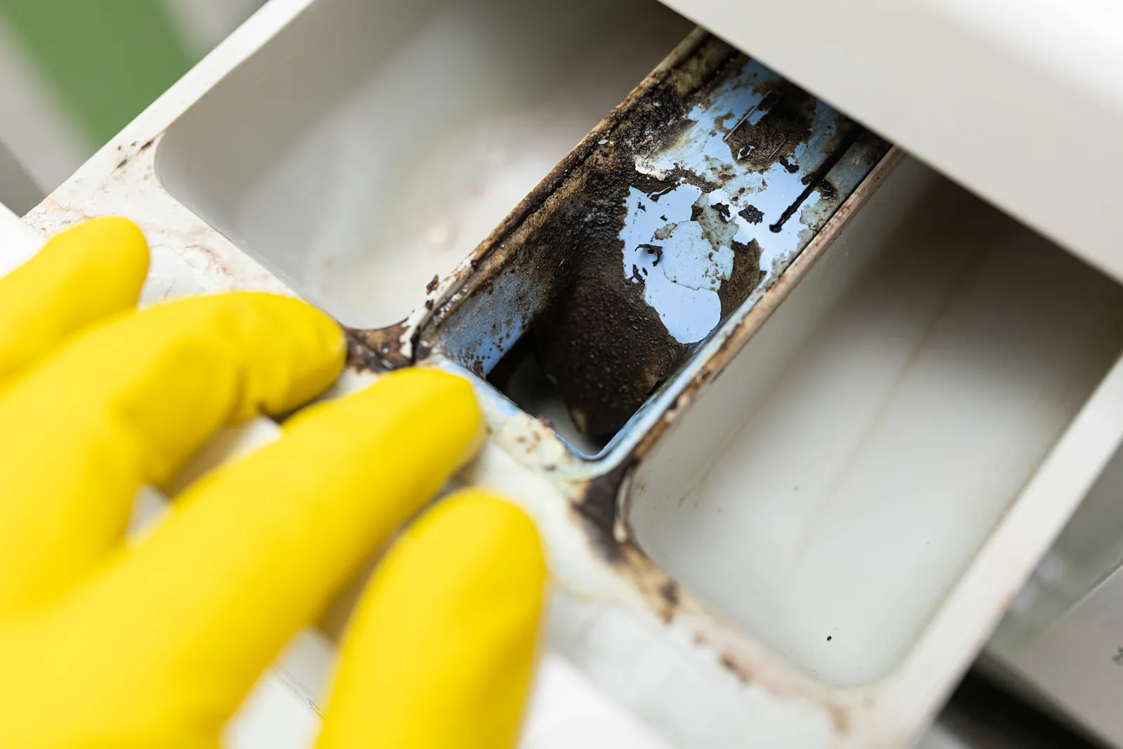 Gloved hand inspecting mold