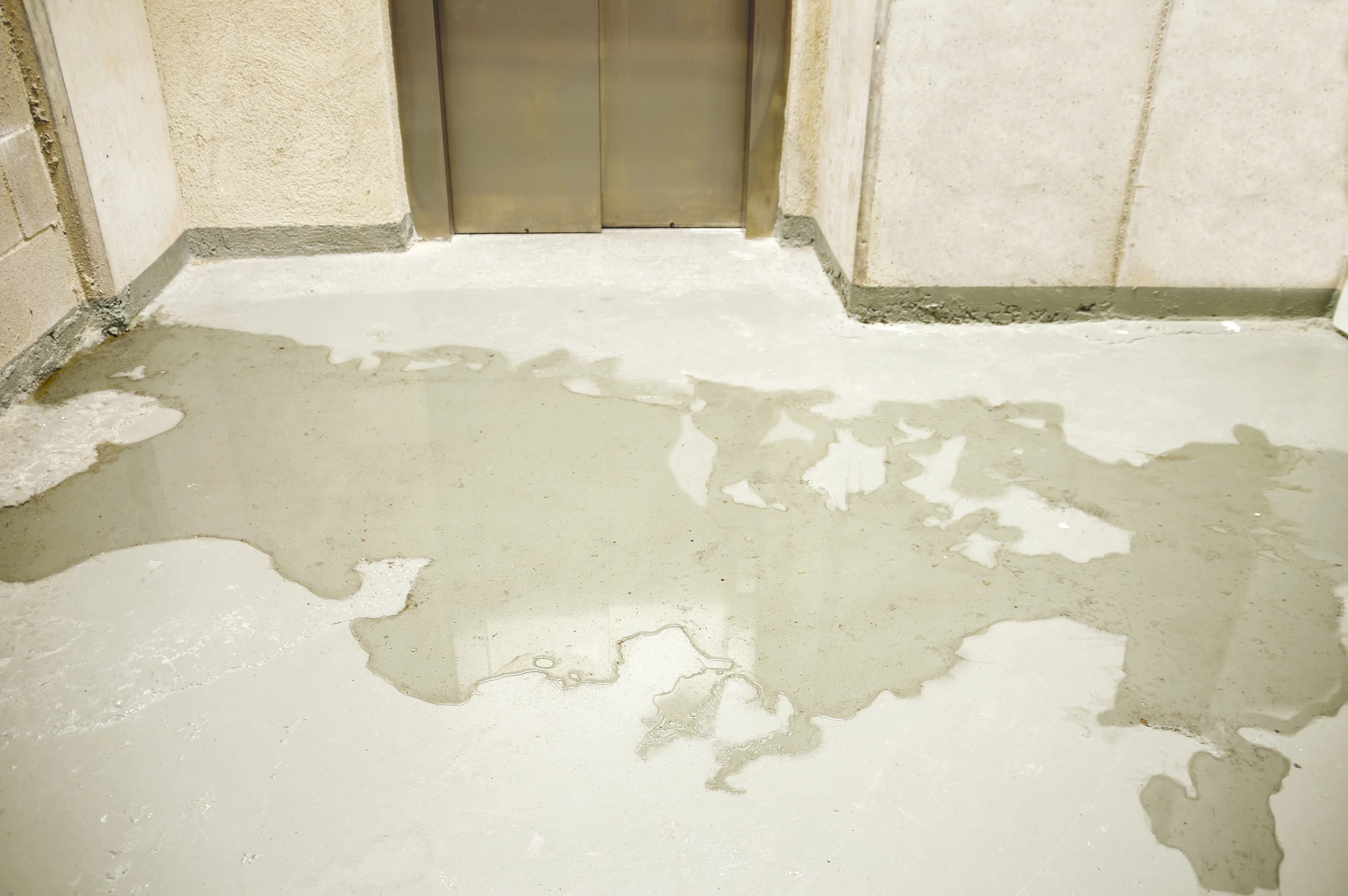 Ceiling Water Stain Damage