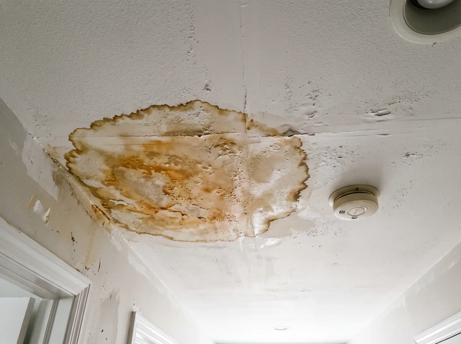 Ceiling Water Stain Ring Damage