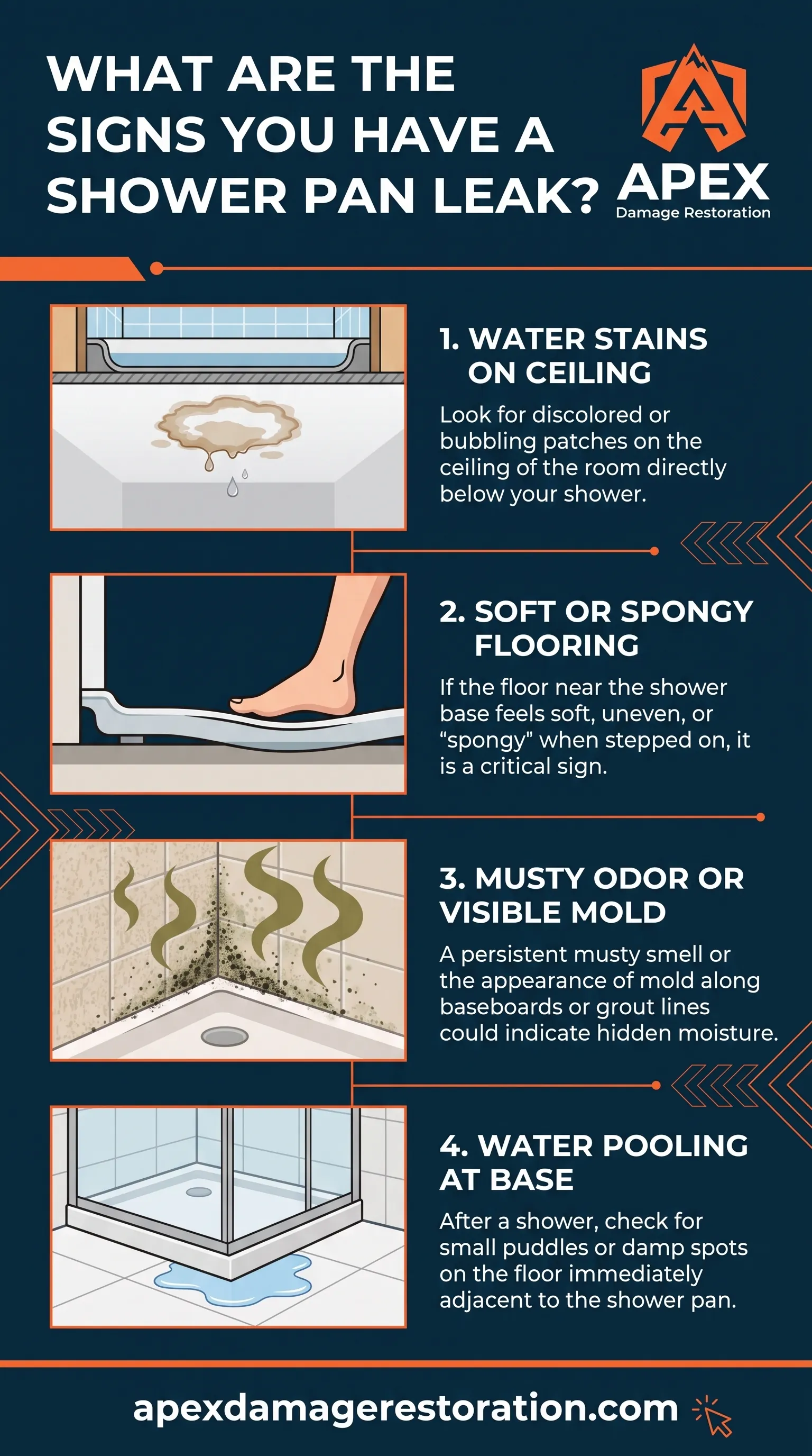 Signs You Have A Shower Pan Leak Infographic