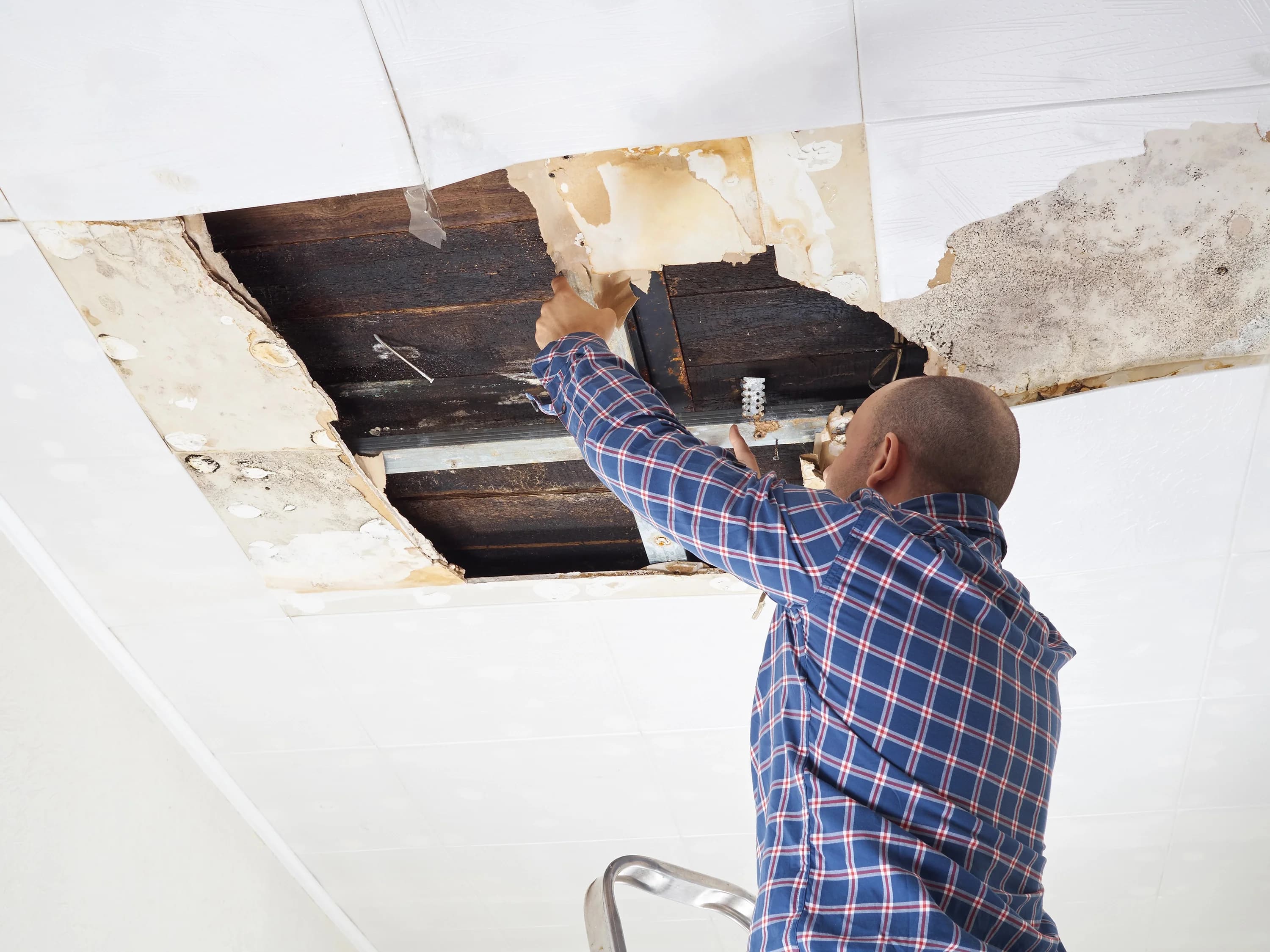 Ceiling Mold Water Damage Repair