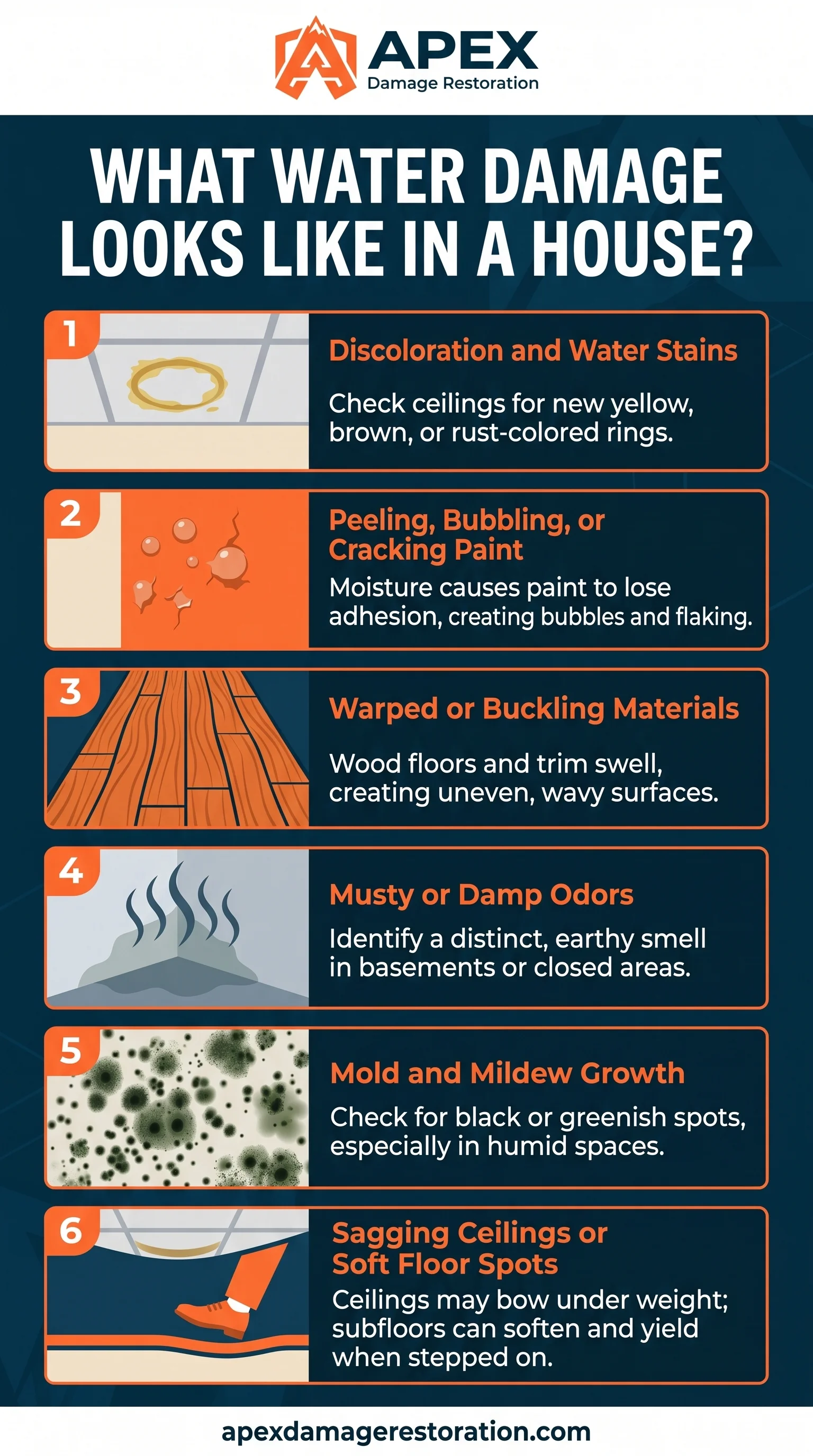 What Water Damage Looks Like In A House Infographic