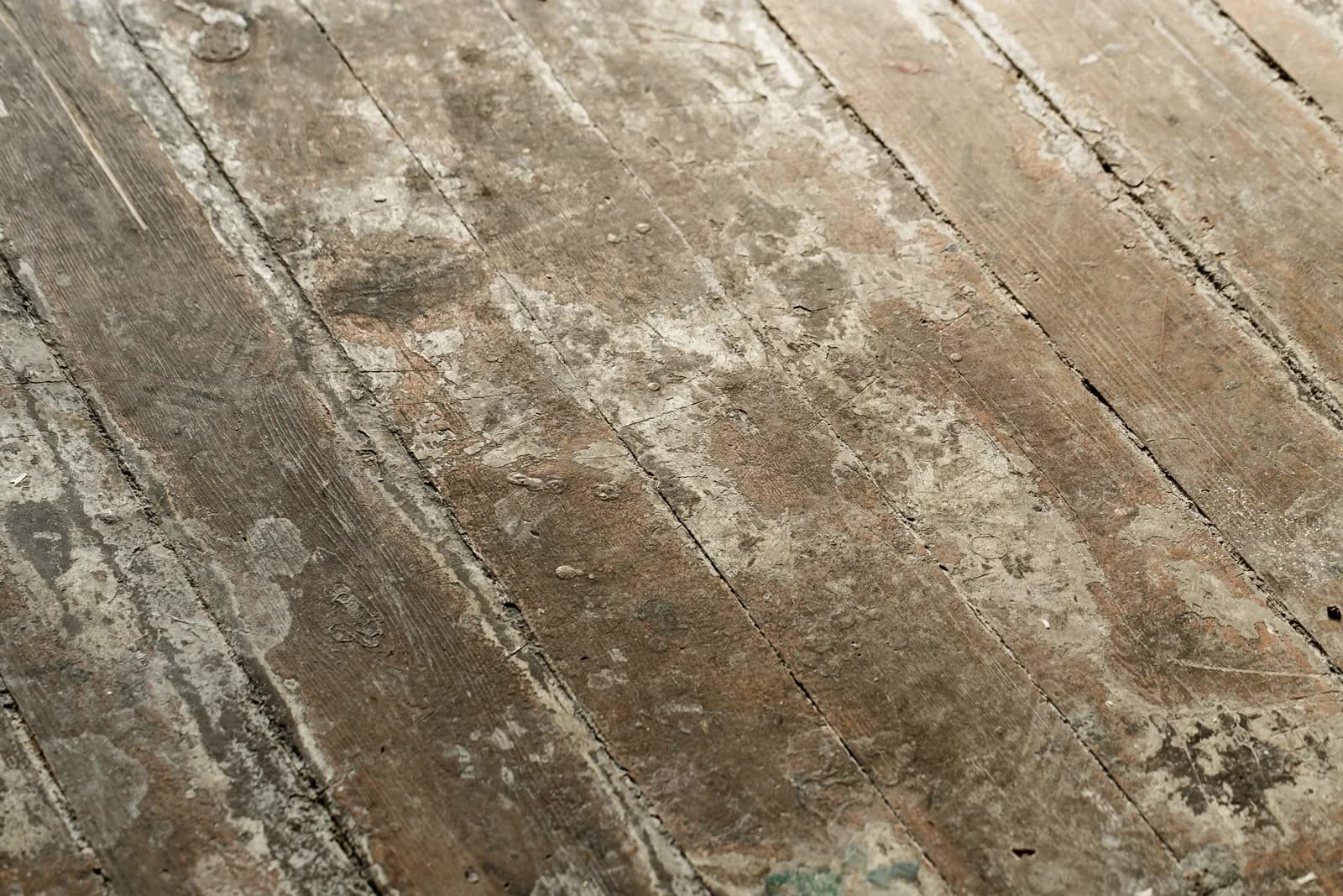 Warped Water Damaged Wood Floorboards