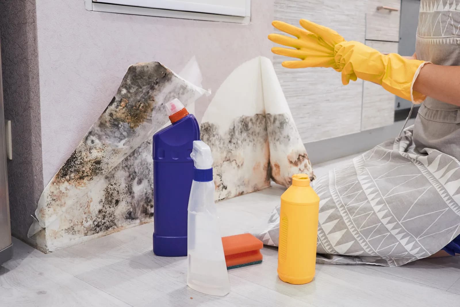technician with gloves preparing for mold remediation
