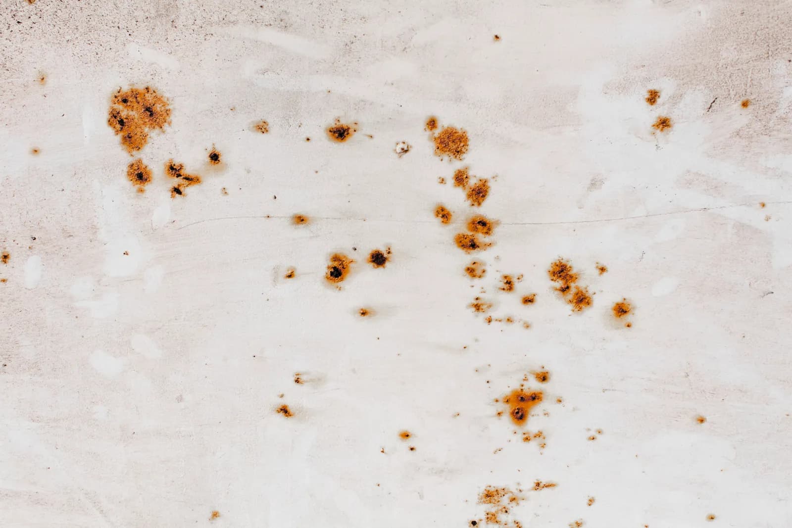 brown mold