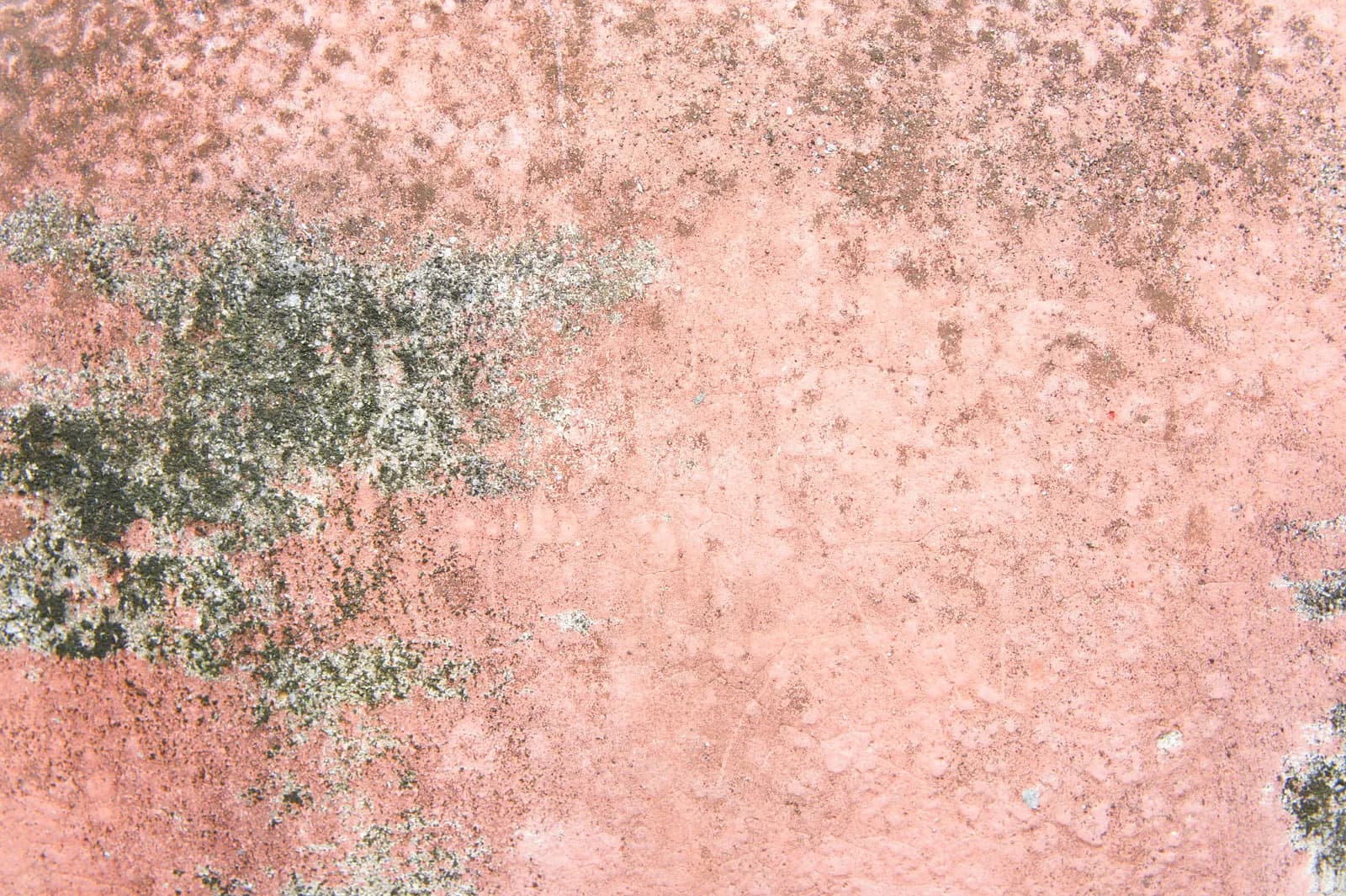 pink mold