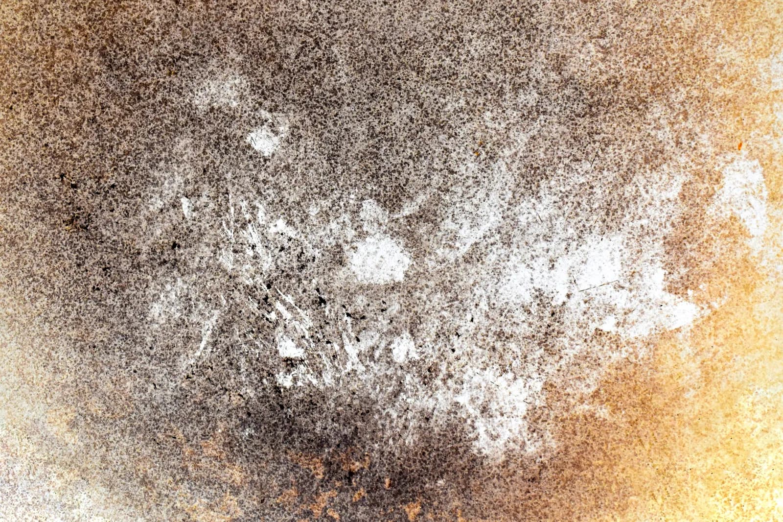 white mold