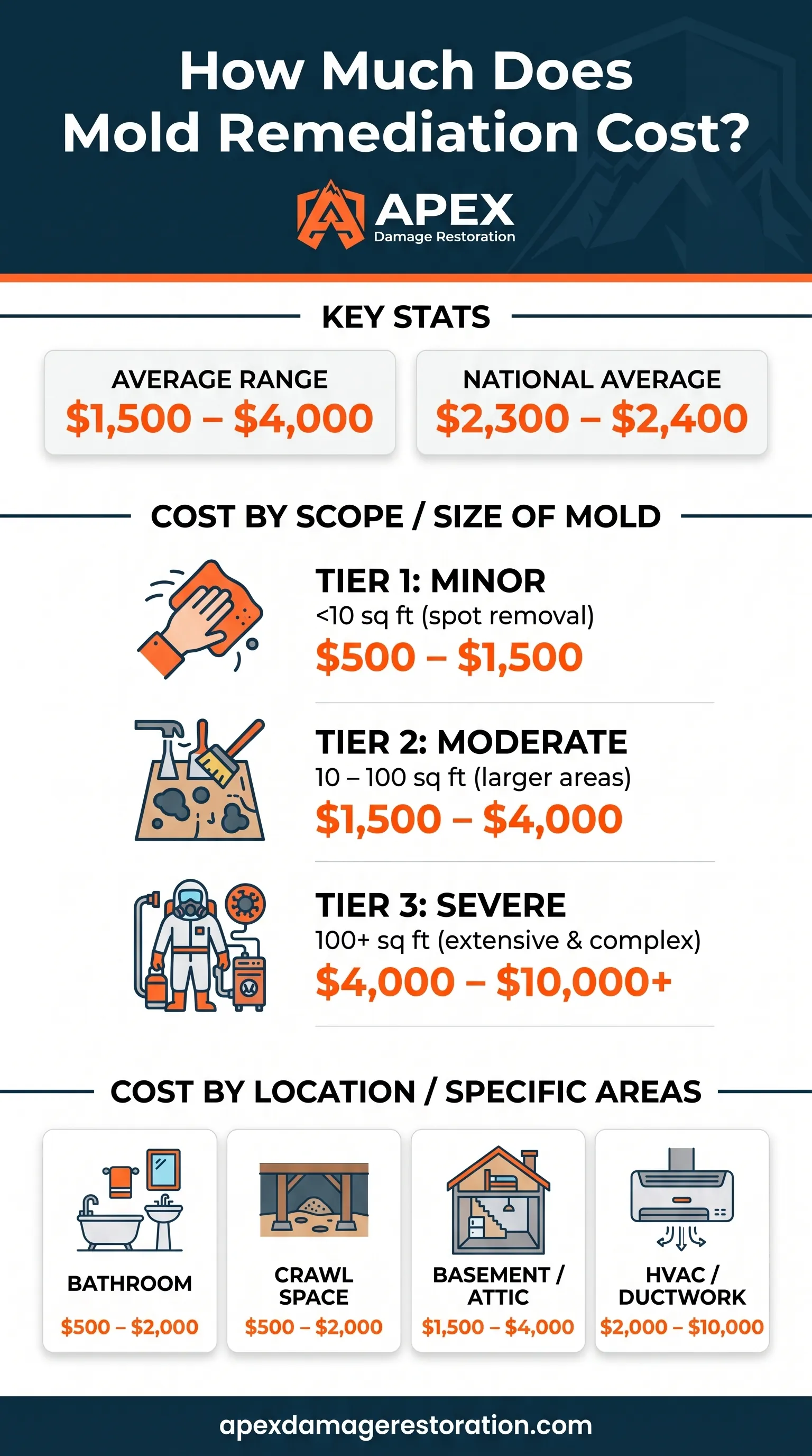 Mold Remediation Cost Breakdown Infographic