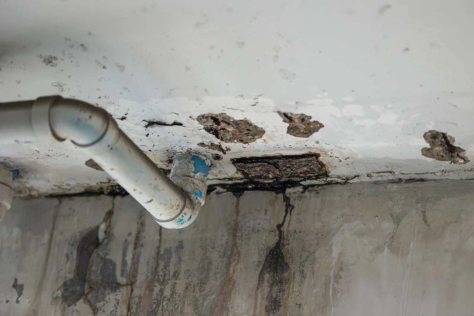 Water Stained Ceiling Mold