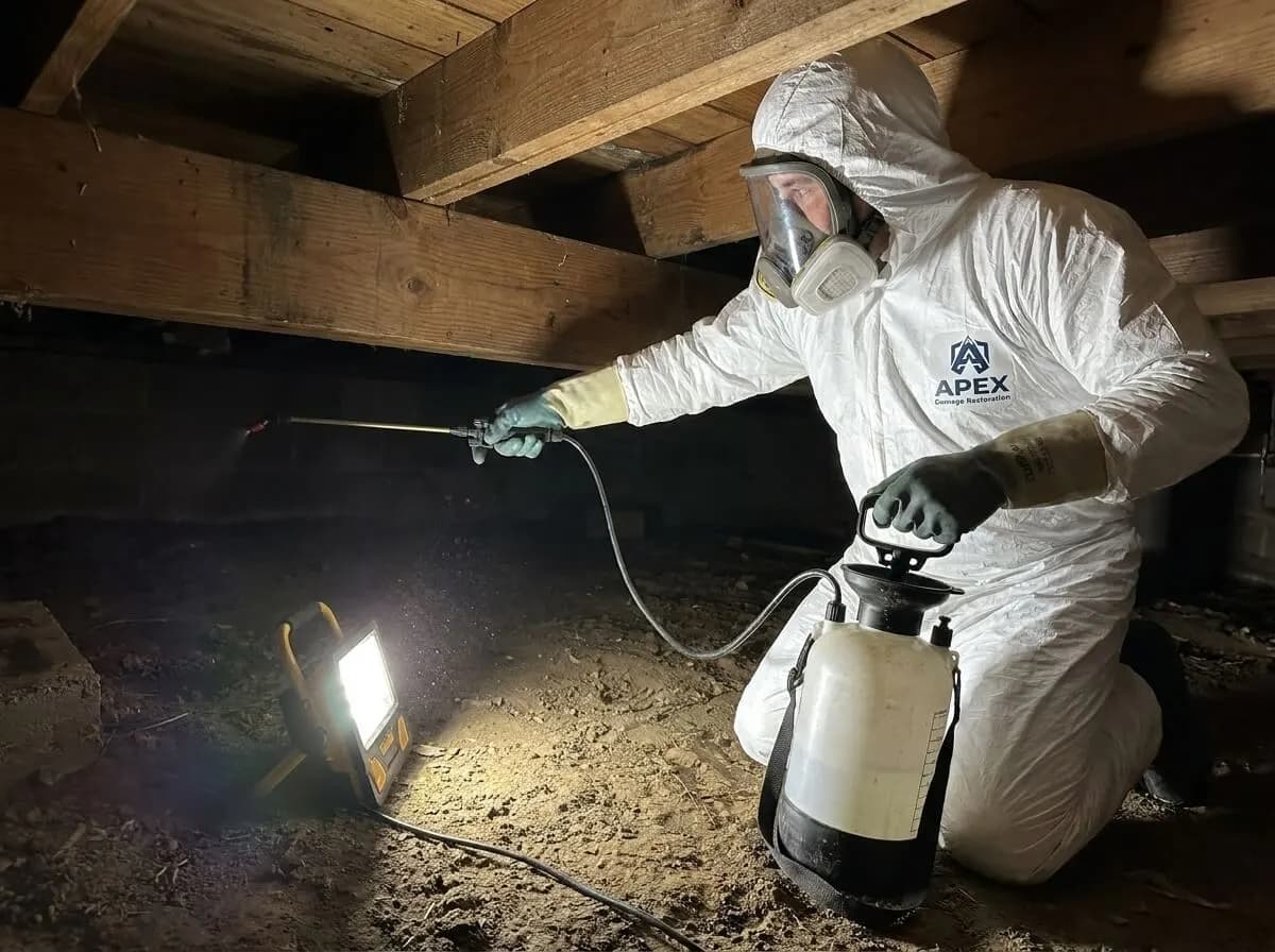Mold Removal and Remediation