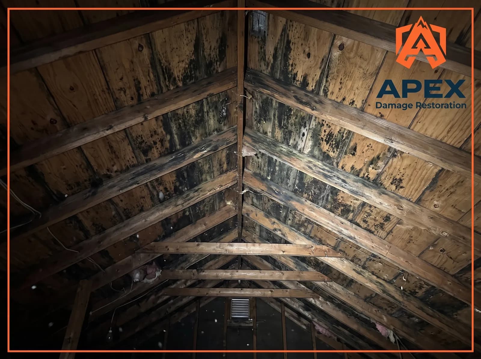 mold growth on an attic roof in Westminster