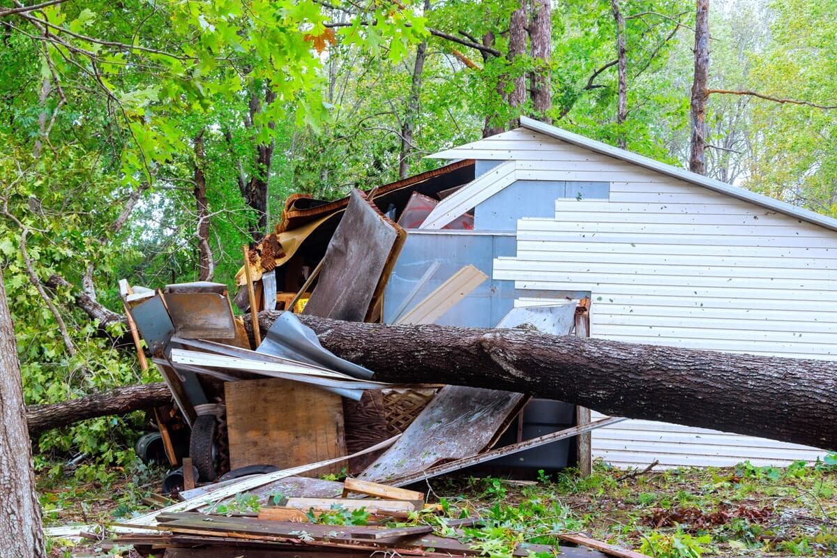Fallen Tree Damage Structure Removal in Aurora CO